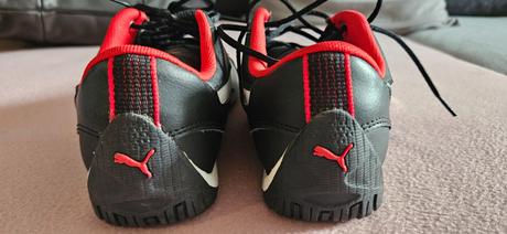 Halovky puma, puma,35