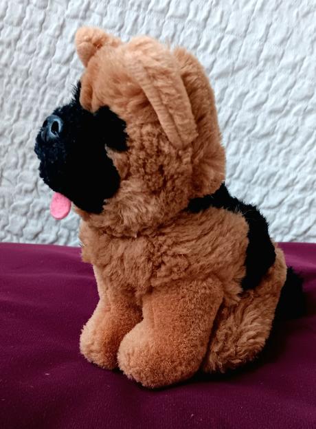 Menší plyšák havko, 