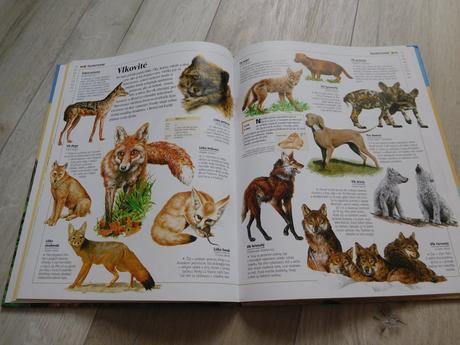 Obrázková encyklopédia zvieratá., 