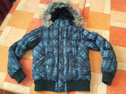 Zimna bunda do pasa, gate,l