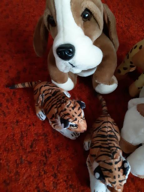 Krásne plyšové hračky,