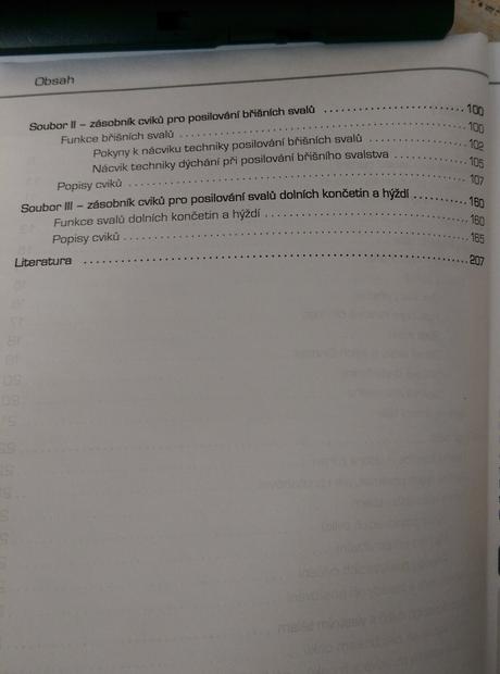 Posilování s vlastmím tělem 417 krát jinak, 