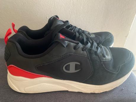 Botasky, champion,41