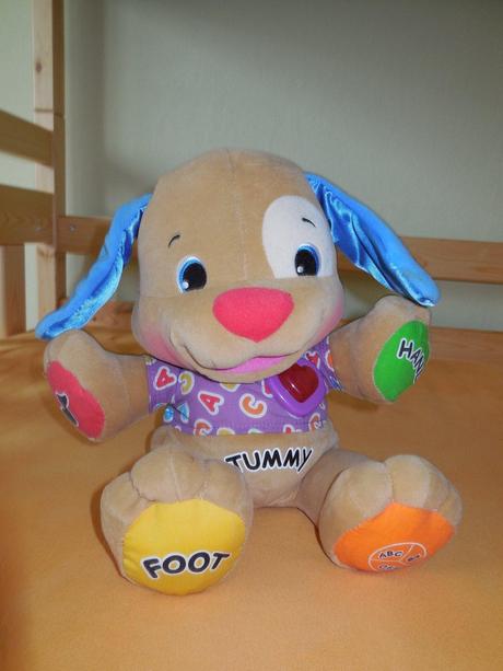 Anglicky spievajúci psík, 