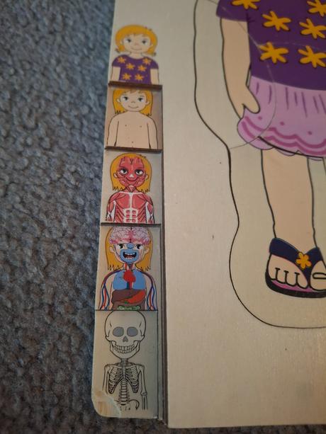 Drevena naucna hra ludske telo dievca,