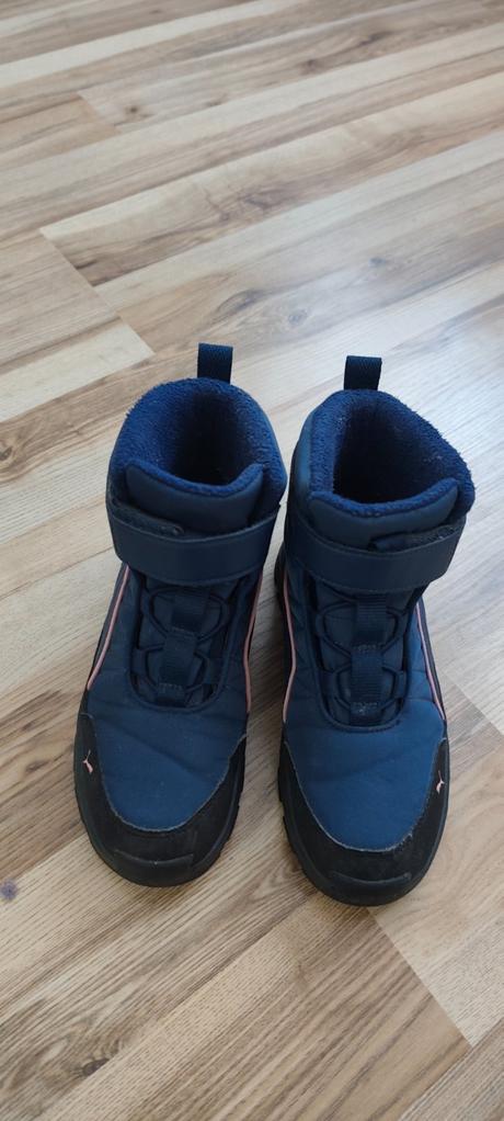 Snehule, puma,35