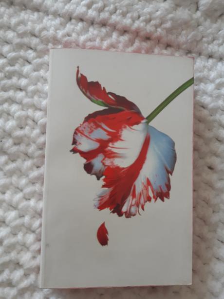 Stephenie meyer new moon, 