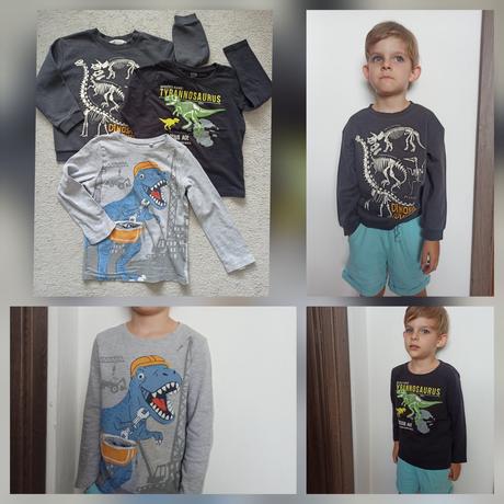 Mikina a tričká dino 110/116, h&m,110