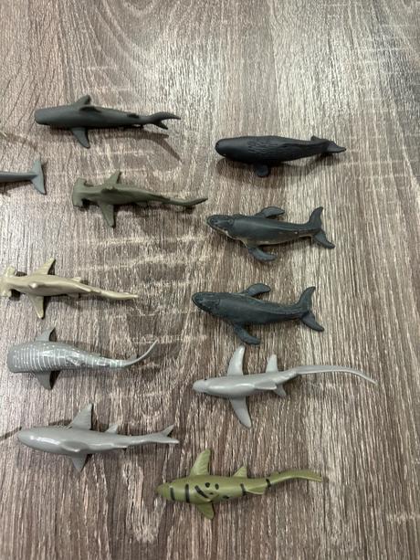 Safari ltd - sada zvieratiek zraloky,delfiny,