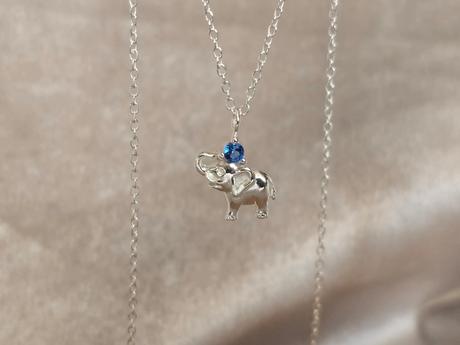 Nahrdelník sloník,