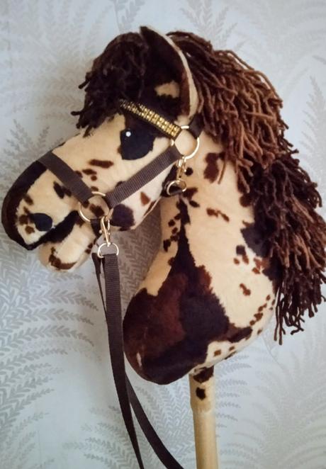 Hobby horse, 