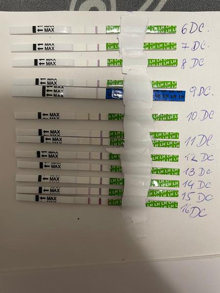 Čo znamenajú výsledky mojich ovulačných testov?