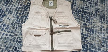 Vesta č.98, palomino,98