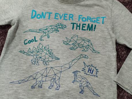 Tričko s dinosaurami, 110