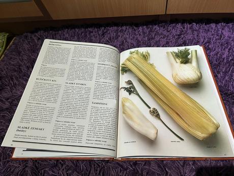 Kuchyňa zdravia - atraktívne recepty, 