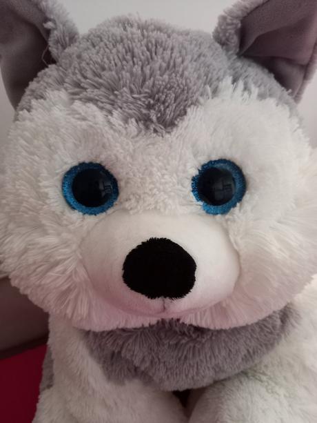 Veľký plyšový psík, 
