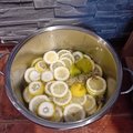 bazova sezona zahajena