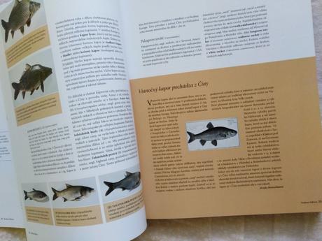 Kniha pre milovníkov rýb a morských plodov, 