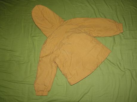 Bundicka st.bernard, st. bernard,92