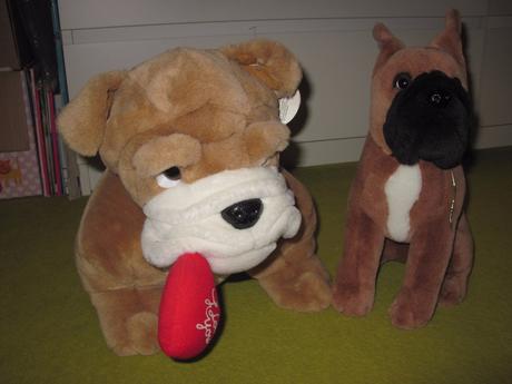 Buldog a boxer,