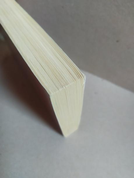 Zamilovaný darebák, johanna lindseyová,