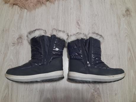 Snehule cortina, 34
