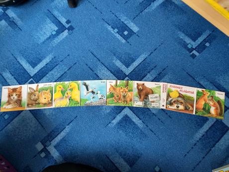 Leporelo zvieracie mláďatká,