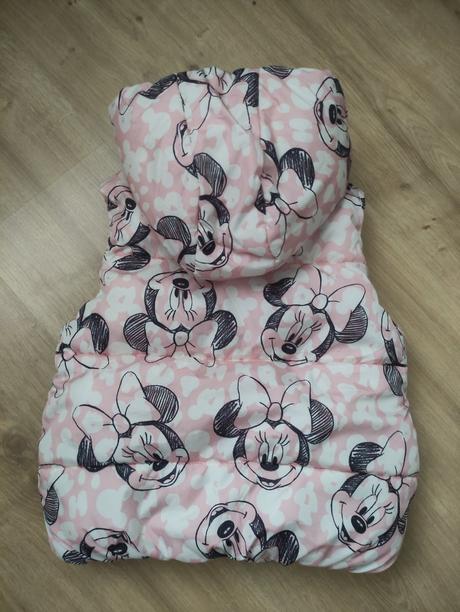 Vesta disney, disney,122