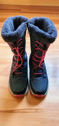 Snehule kangaroos, kangaroos,35