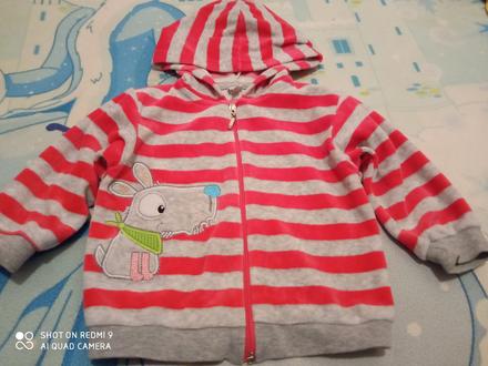 Krásna velurovana súprava v .74, koala baby,74