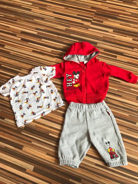 Teplakovu supravu, disney,68