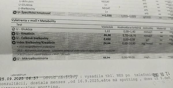 Pomôže Blokurima pri problémoch s obličkami?