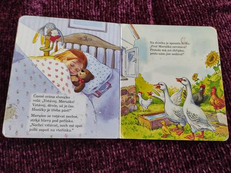 Na dvorku krásne ilustrovaná kniha,