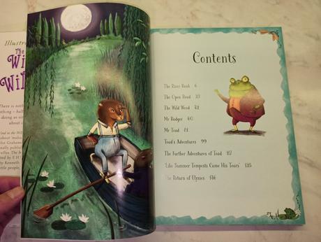 The wind in the willows hb, 