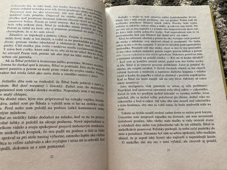 Darebáčik prvé vydanie 1987,