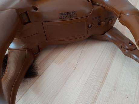 Koník pohybujúci so zvukom,