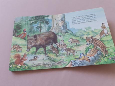 Knižka kto býva v lese, 