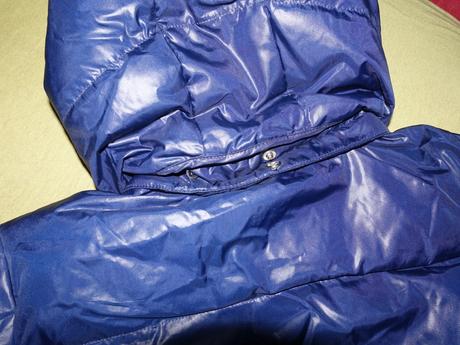 Nova paperova bundicka champion, champion,152