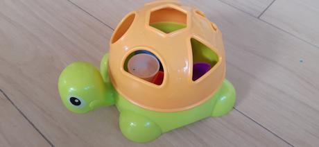 Vhadzovacka korytnacka,