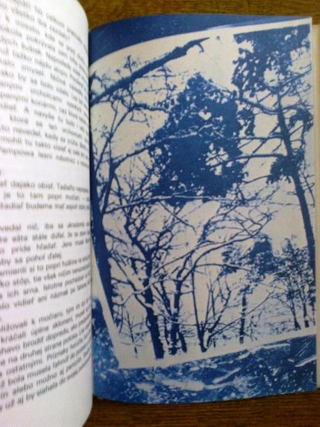 Hlboký modrý sneh - horst beseler,