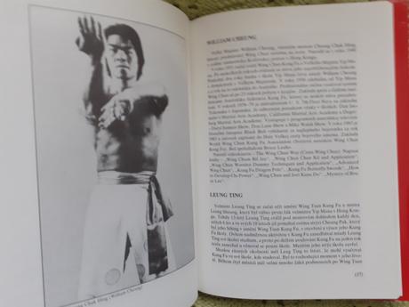 Natural wung chun kung fu,