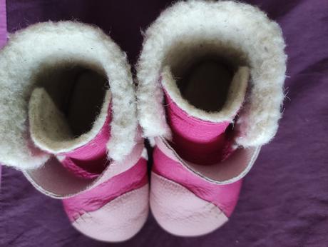 Liliputi hibiscus xl, liliputi