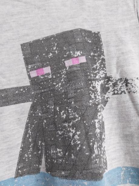 Tricko minecraft, 134