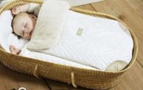 Fusak mayoral, mayoral