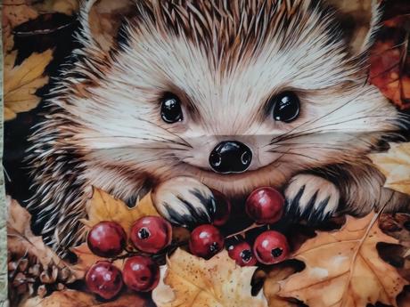 Obliečka na vankúš 45x45cm, šírka (cm): 45,dĺžka (cm): 40