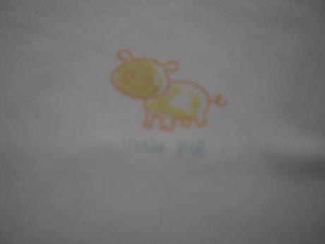 Bodynka 8ks-cena spolu, 62