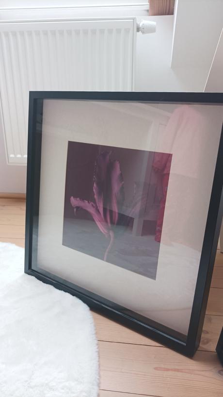 Rámiky s obrazom kvetov, 