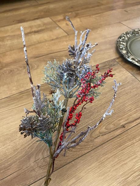 Vetvička - konárik so šiškami a bobuľkami červeným,