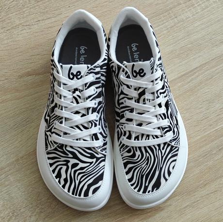 Rebound - zebra 41 y205, be lenka,41