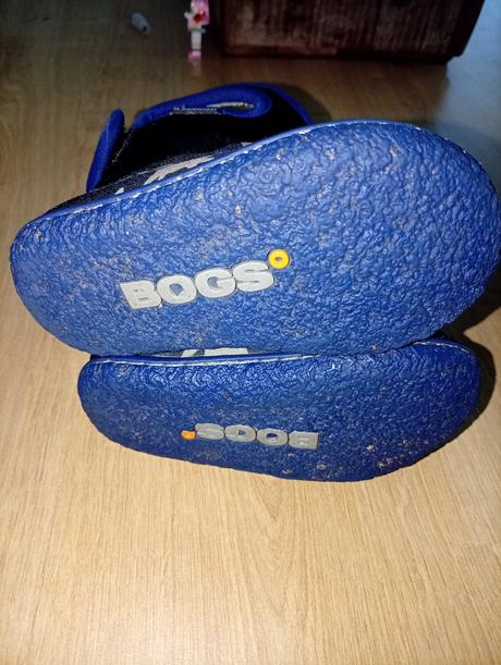 Bogs 21, 21